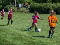 原创汉诺威96保持强劲状态，埃弗斯堡过往对战稳占上风