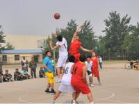 07月24日 01：00 欧联杯资格赛 特拉凯vs利马素尔